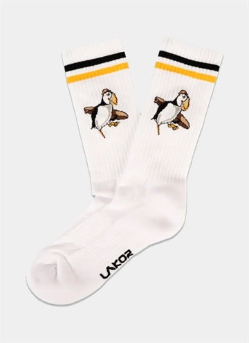 Lakor Sea Parrot Surfstrumpa